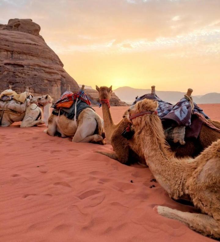 Wadi Rum Nature Exteriér fotografie