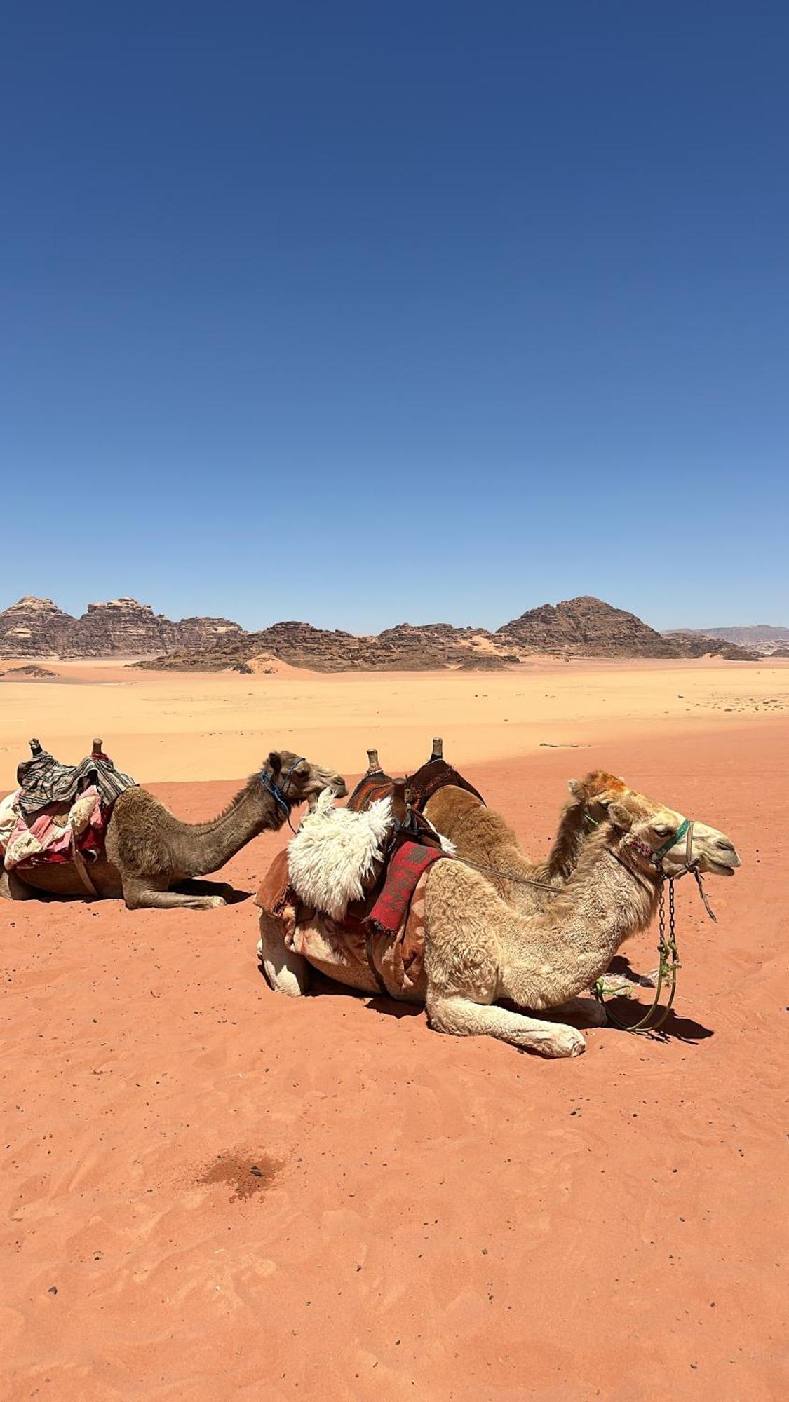 Wadi Rum Nature Exteriér fotografie