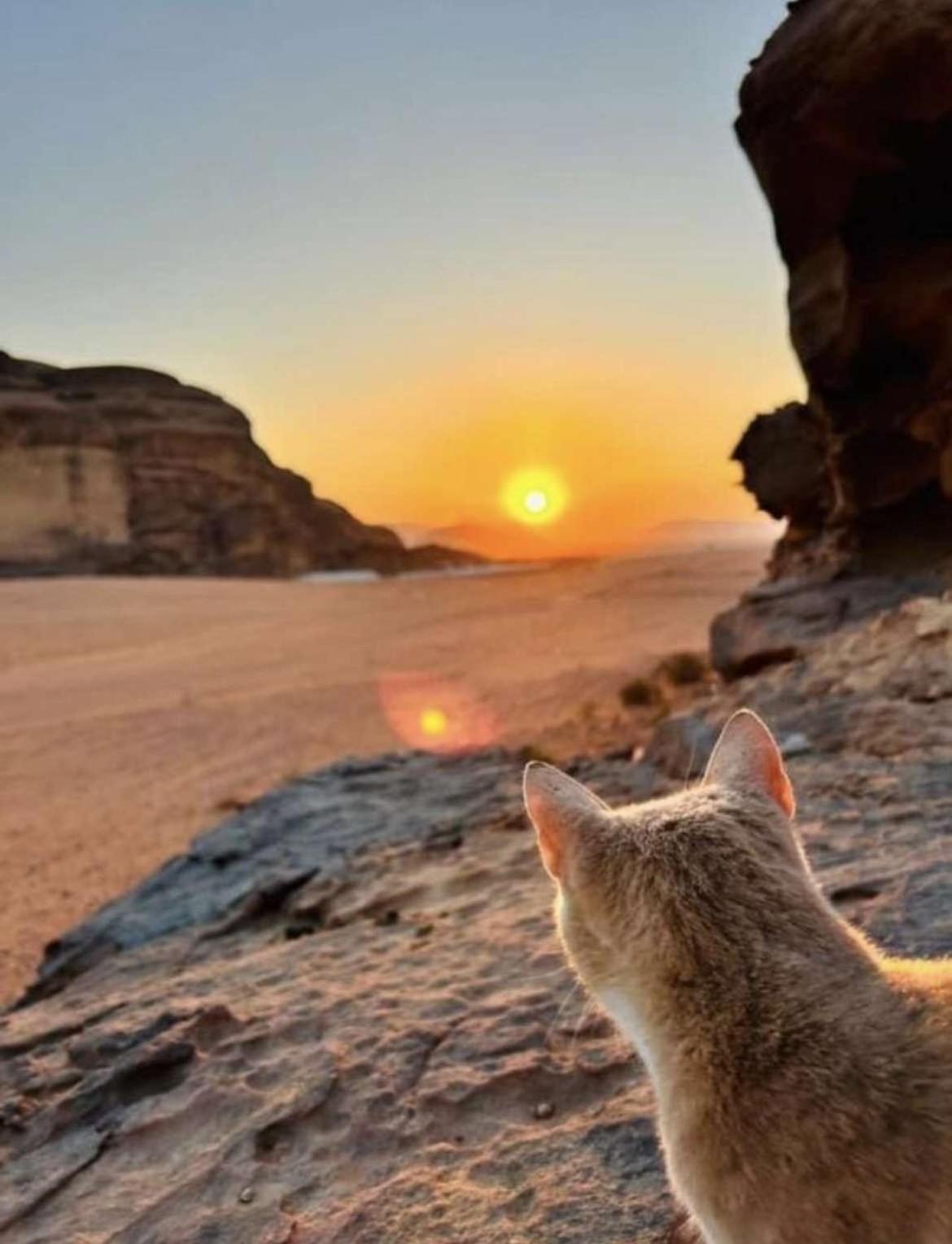 Wadi Rum Nature Exteriér fotografie